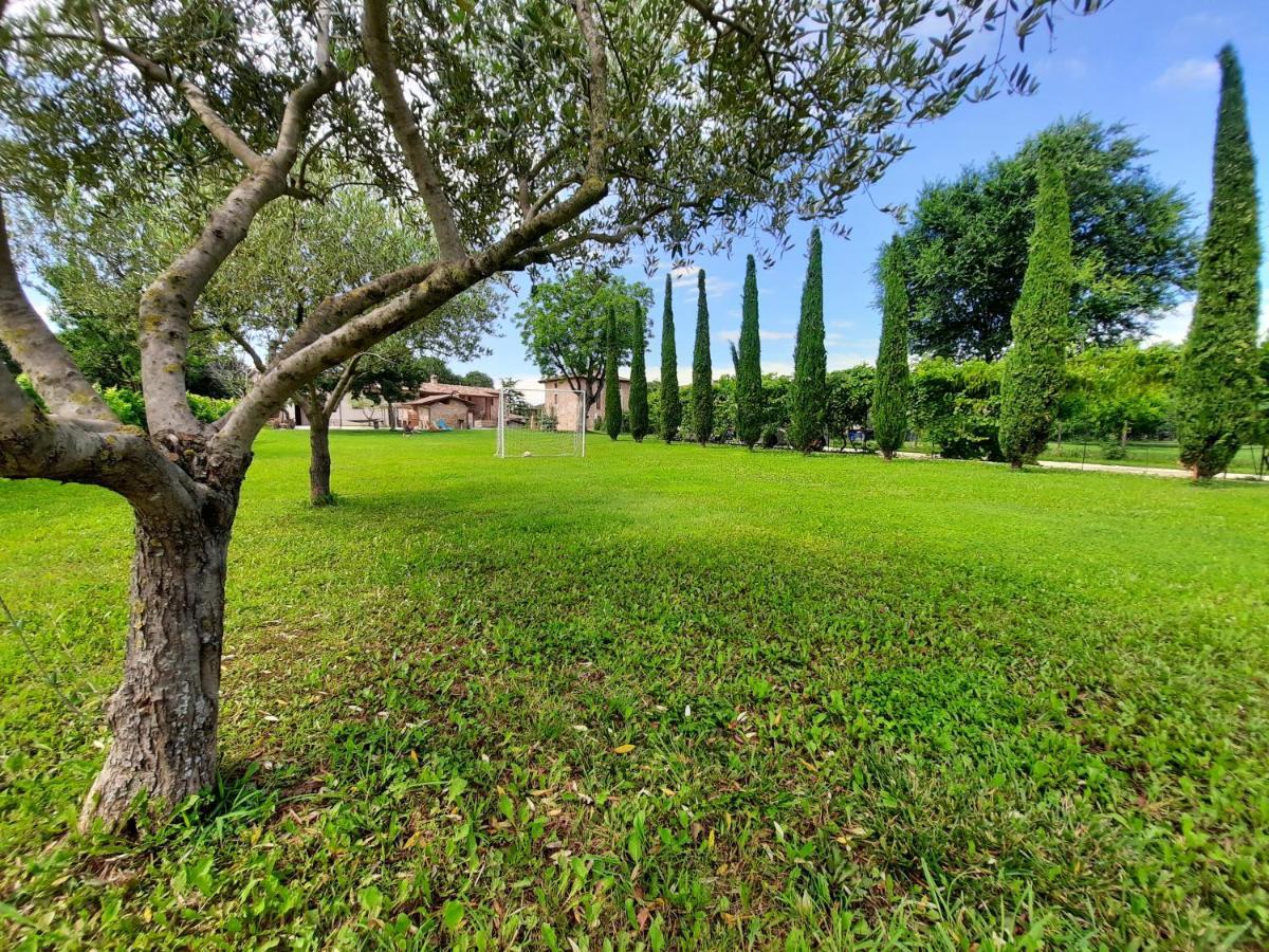 Corte Davini Agriturismo Монцамбано Экстерьер фото
