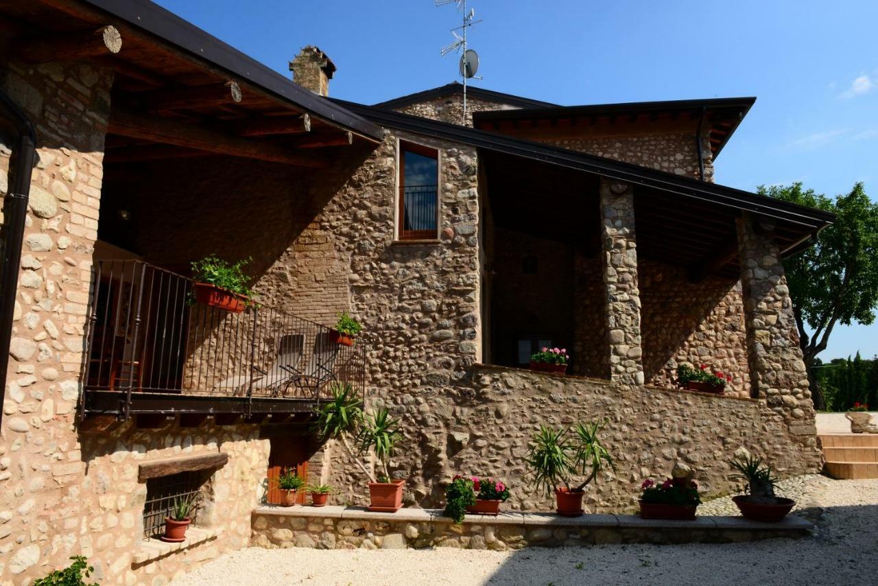 Corte Davini Agriturismo Монцамбано Экстерьер фото